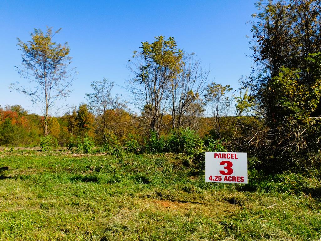 4.25 Strawberry Road Property Photo