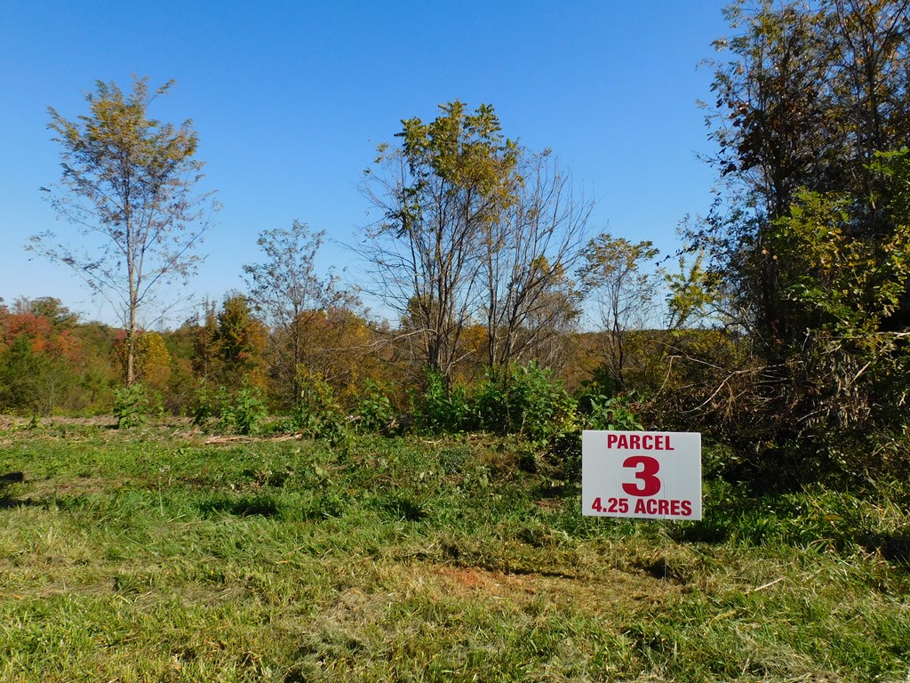 4.25 Strawberry Road Property Photo 3