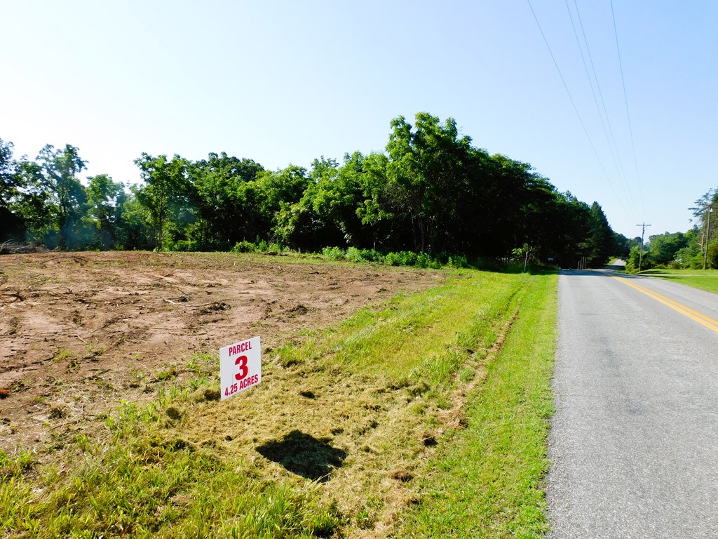 4.25 Strawberry Road Property Photo 3