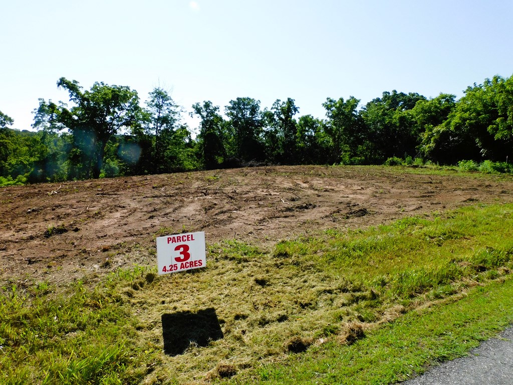 4.25 Strawberry Road Property Photo 4