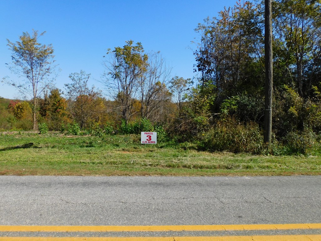 4.25 Strawberry Road Property Photo 5