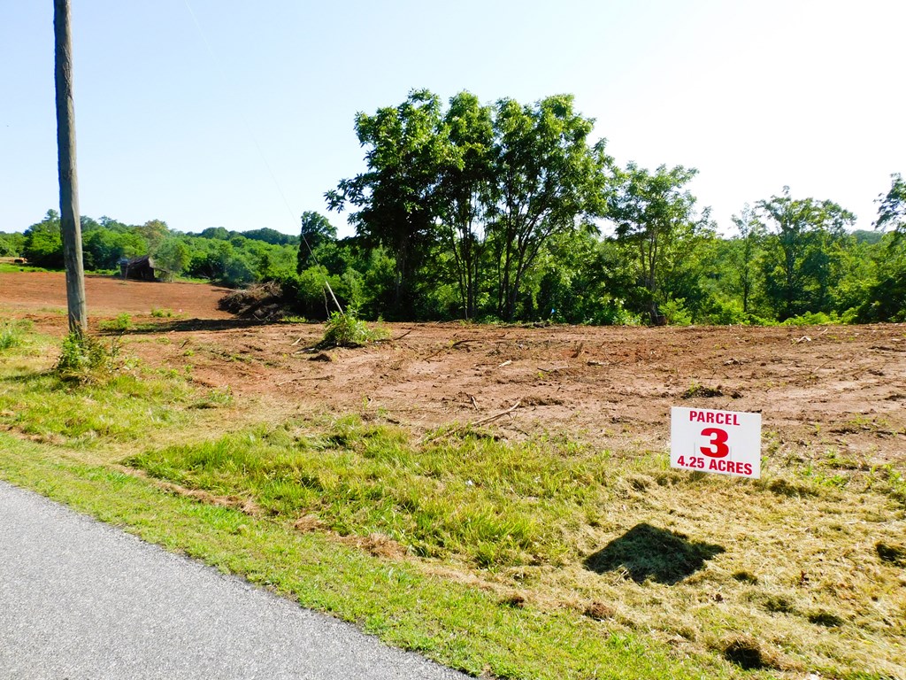 4.25 Strawberry Road Property Photo 5
