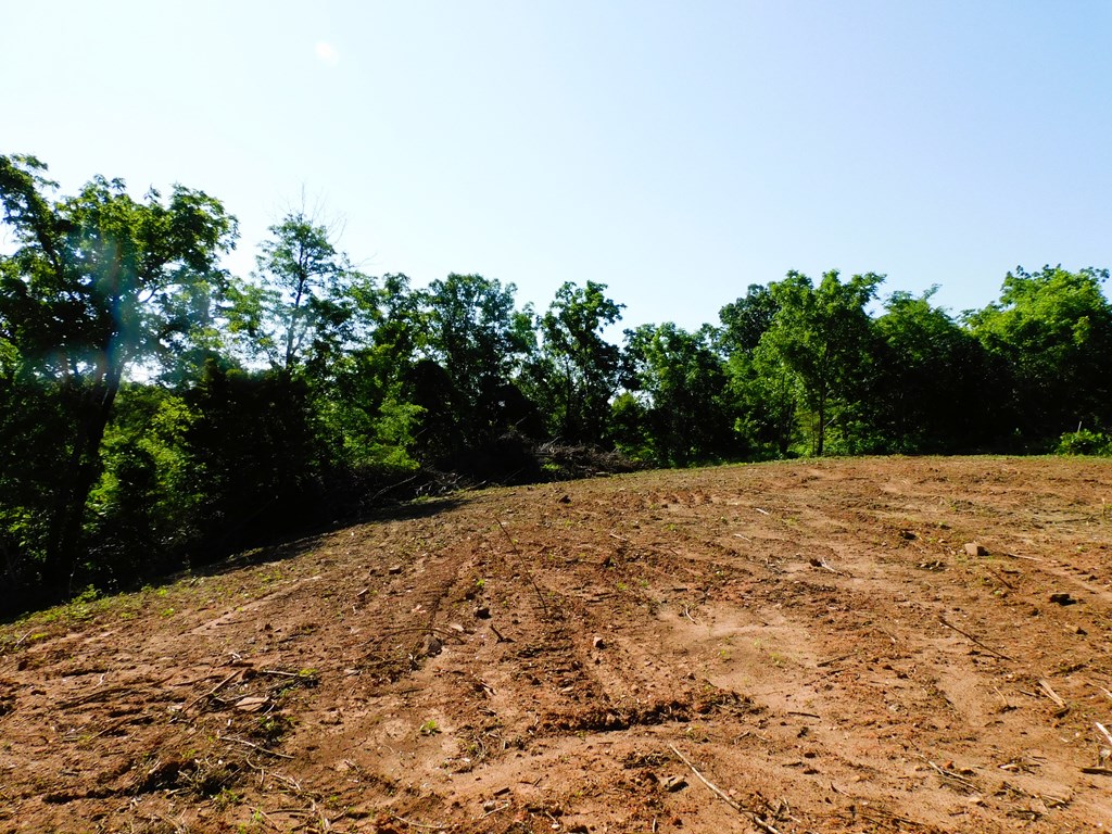 4.25 Strawberry Road Property Photo 11