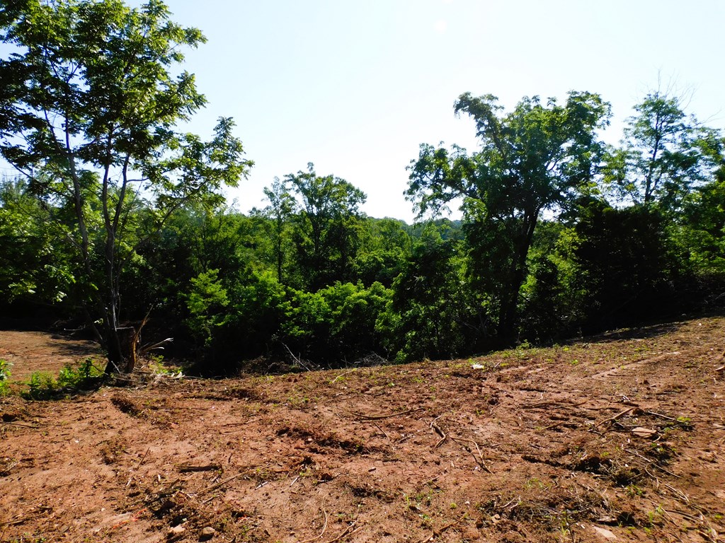 4.25 Strawberry Road Property Photo 12