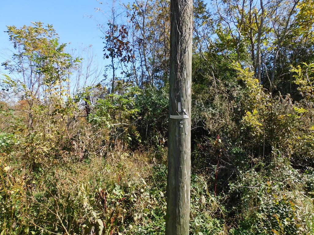 4.25 Strawberry Road Property Photo 15
