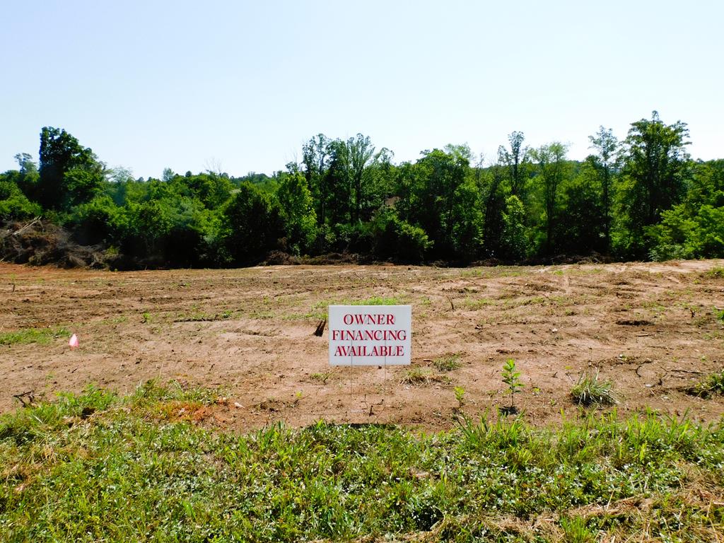 4.25 Strawberry Road Property Photo 21