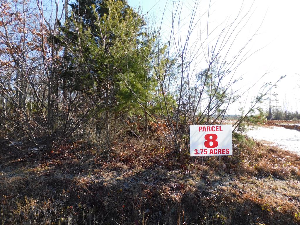 3.75 Strawberry Road Property Photo