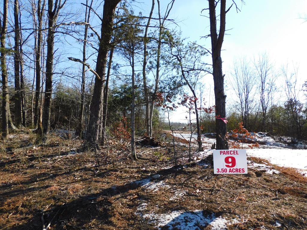 3.50 Strawberry Road Property Photo