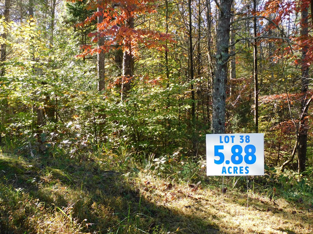 5.88 Grassland Drive Property Photo 14