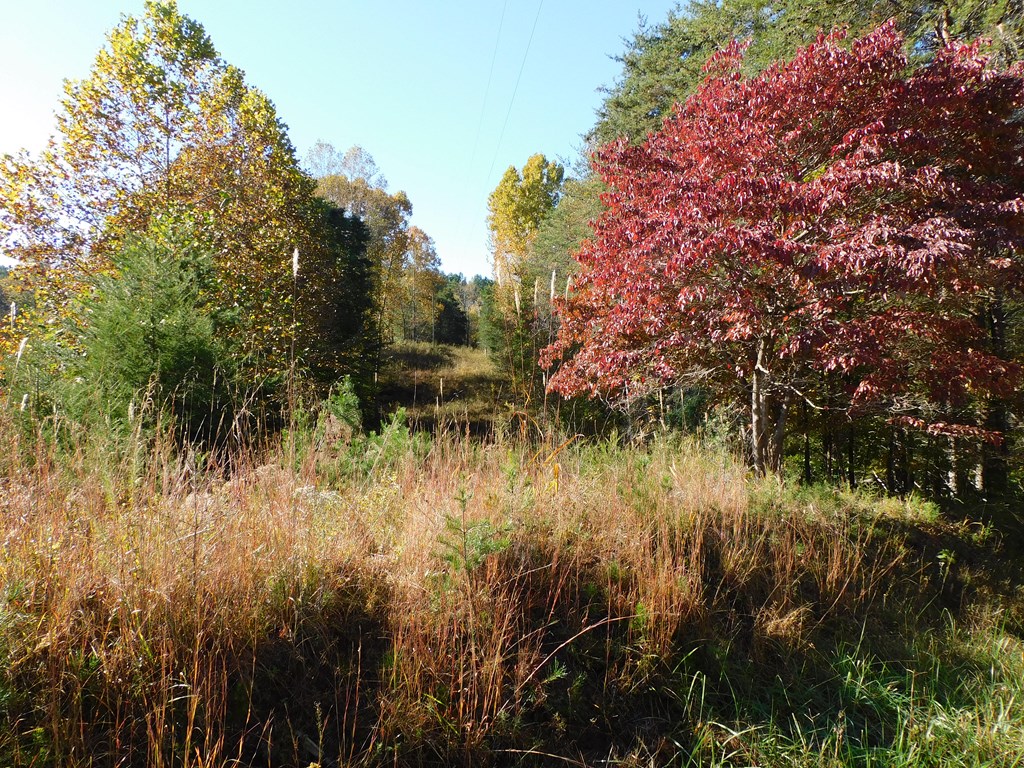 5.88 Grassland Drive Property Photo 16