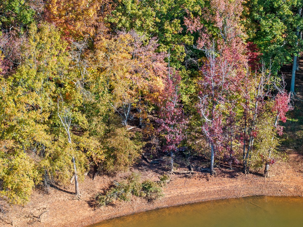 Skipwith Road Property Photo 14