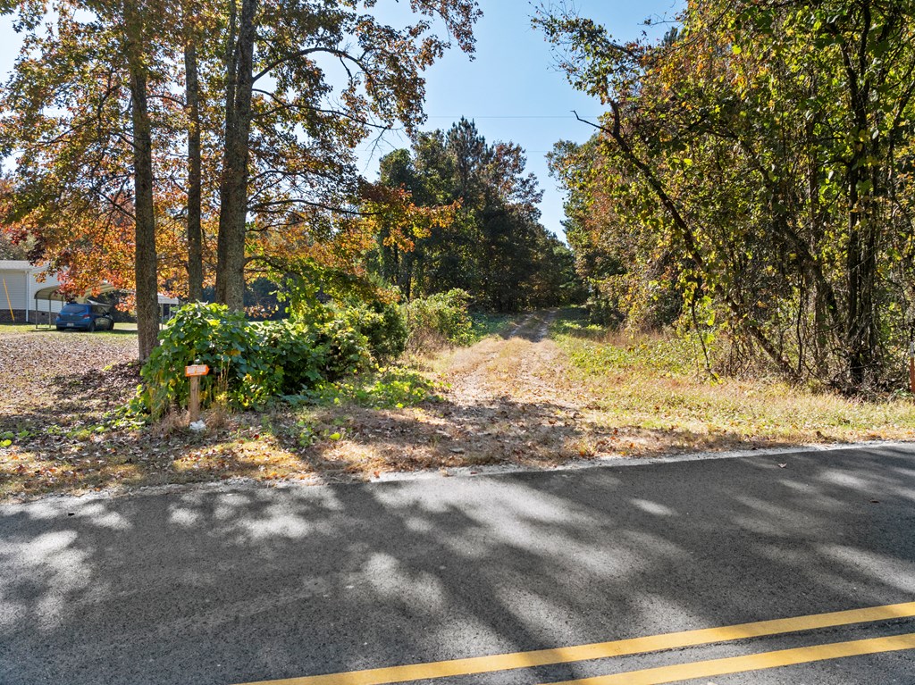 Skipwith Road Property Photo 34