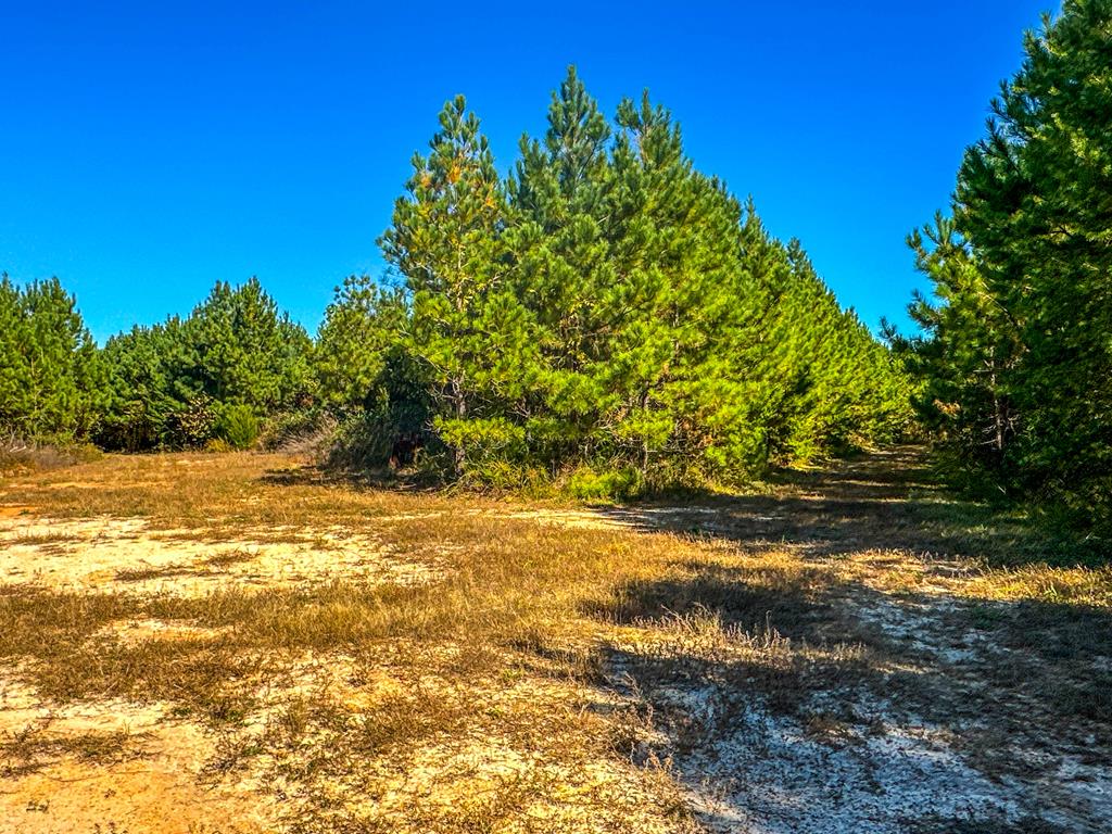 2052 Twenty-two Road Property Photo 47