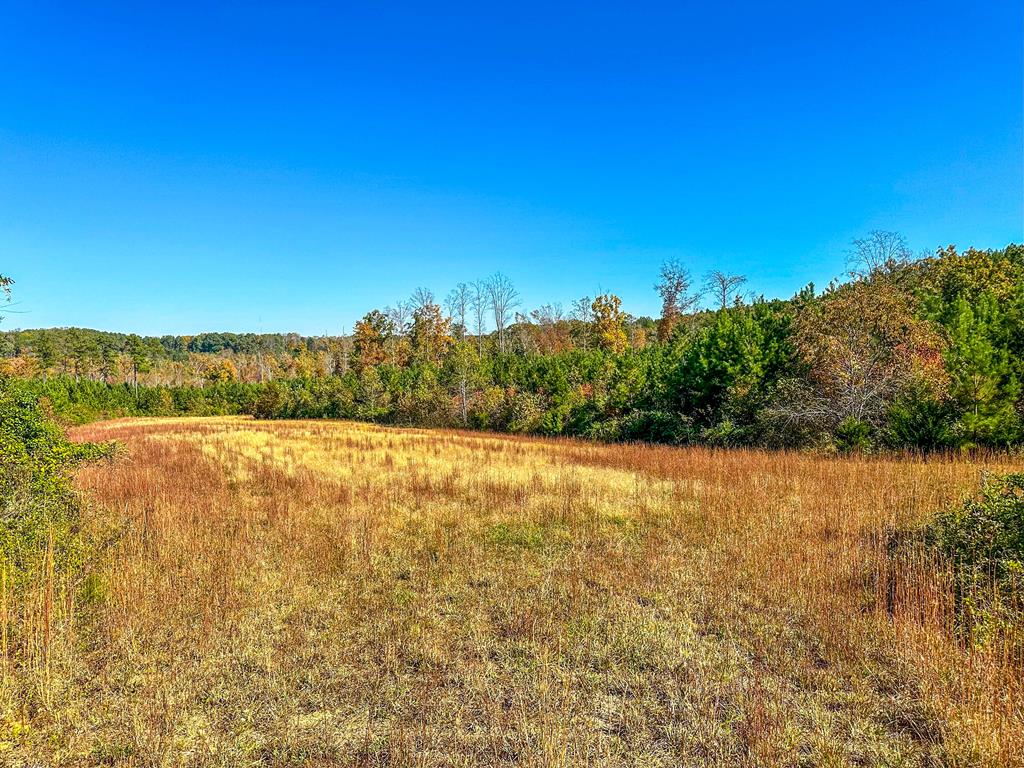 2052 Twenty-two Road Property Photo 48