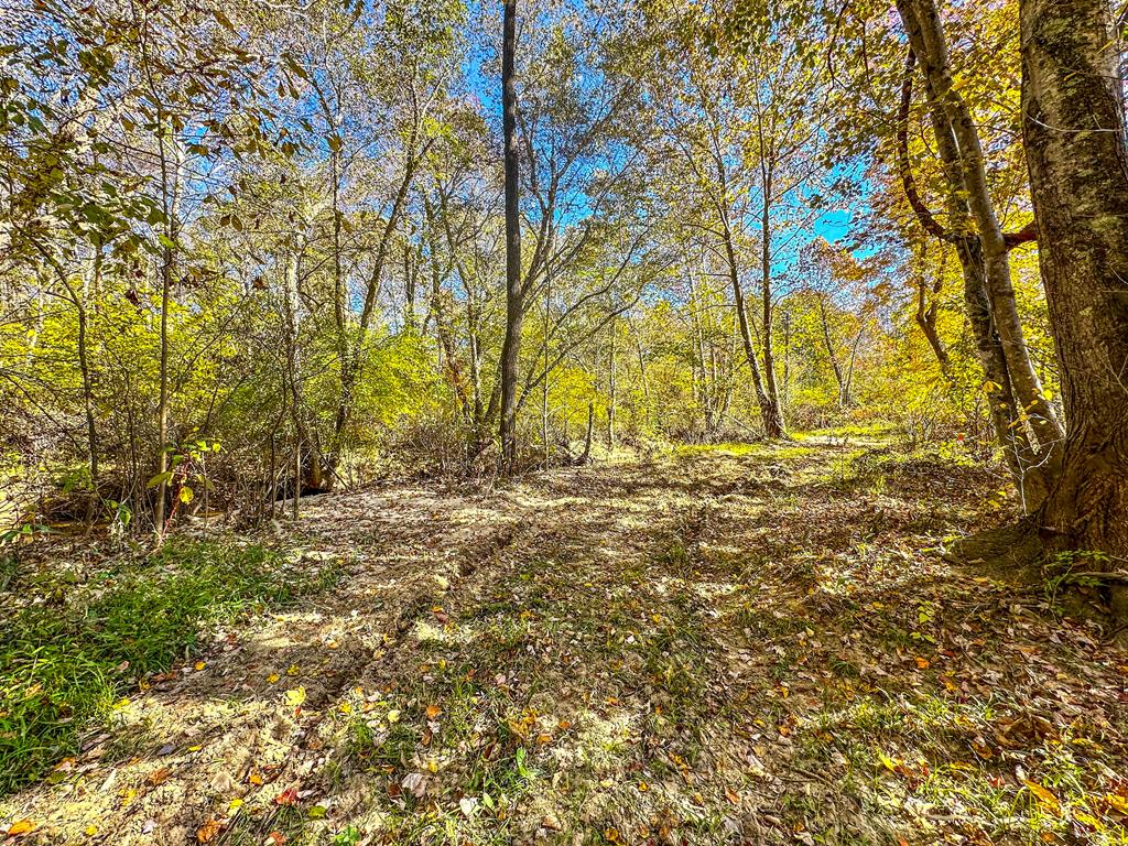 2052 Twenty-two Road Property Photo 54