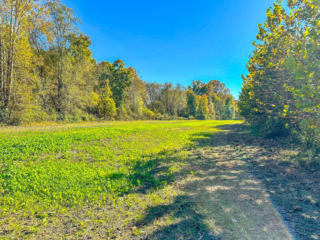 2052 Twenty-two Road Property Photo 56