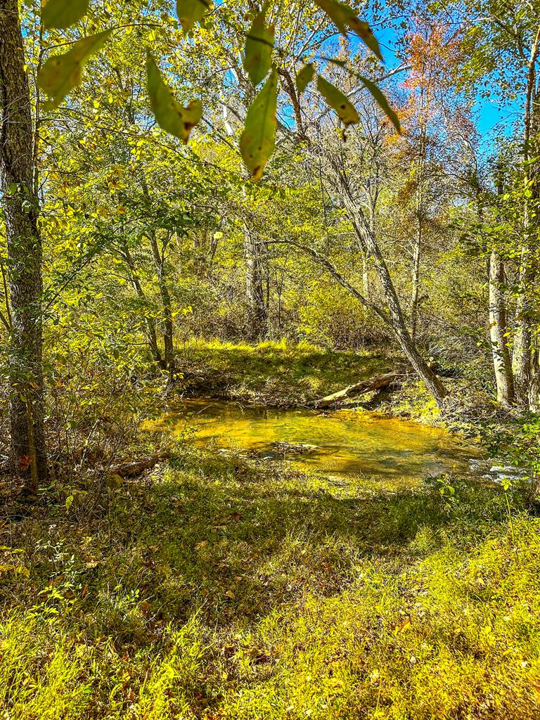 2052 Twenty-two Road Property Photo 57