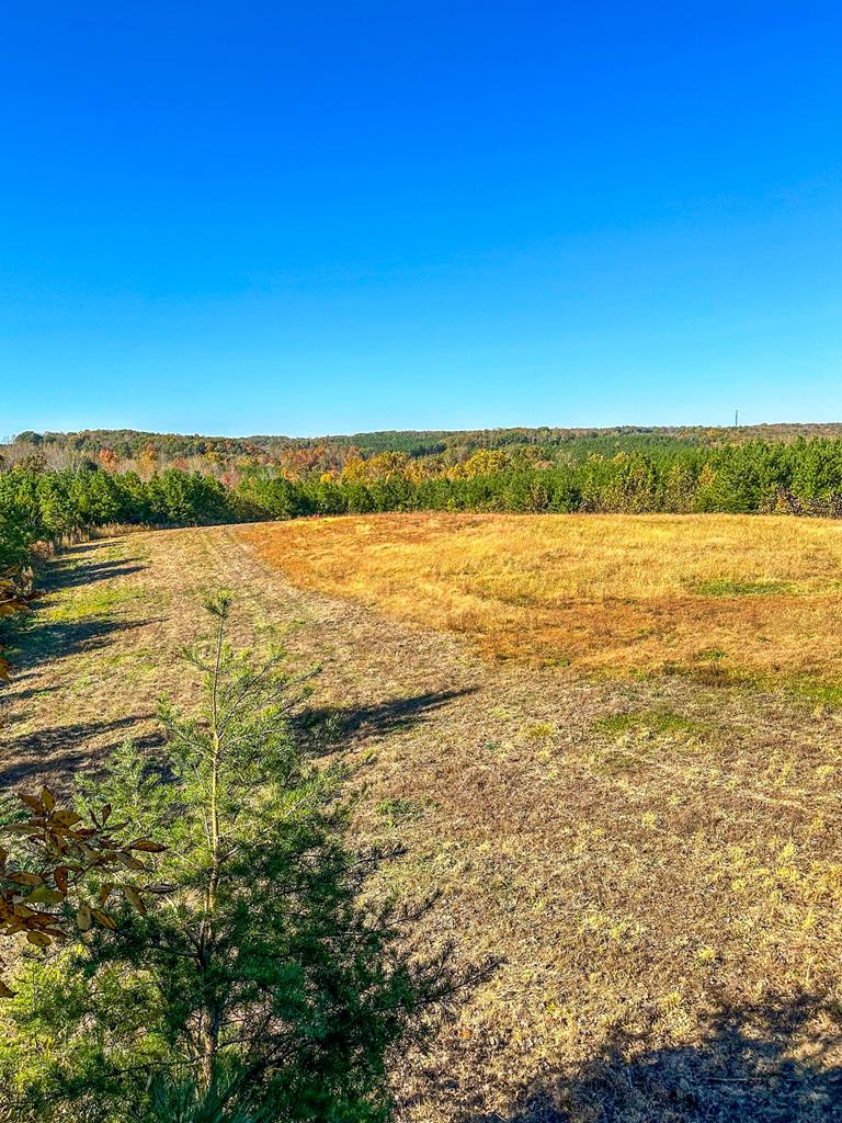 2052 Twenty-two Road Property Photo 62
