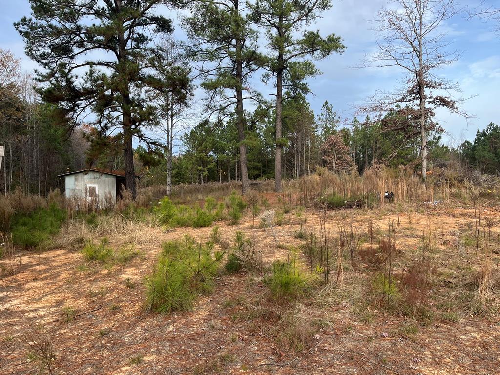 207 Old Forty Seven Road Property Photo 2