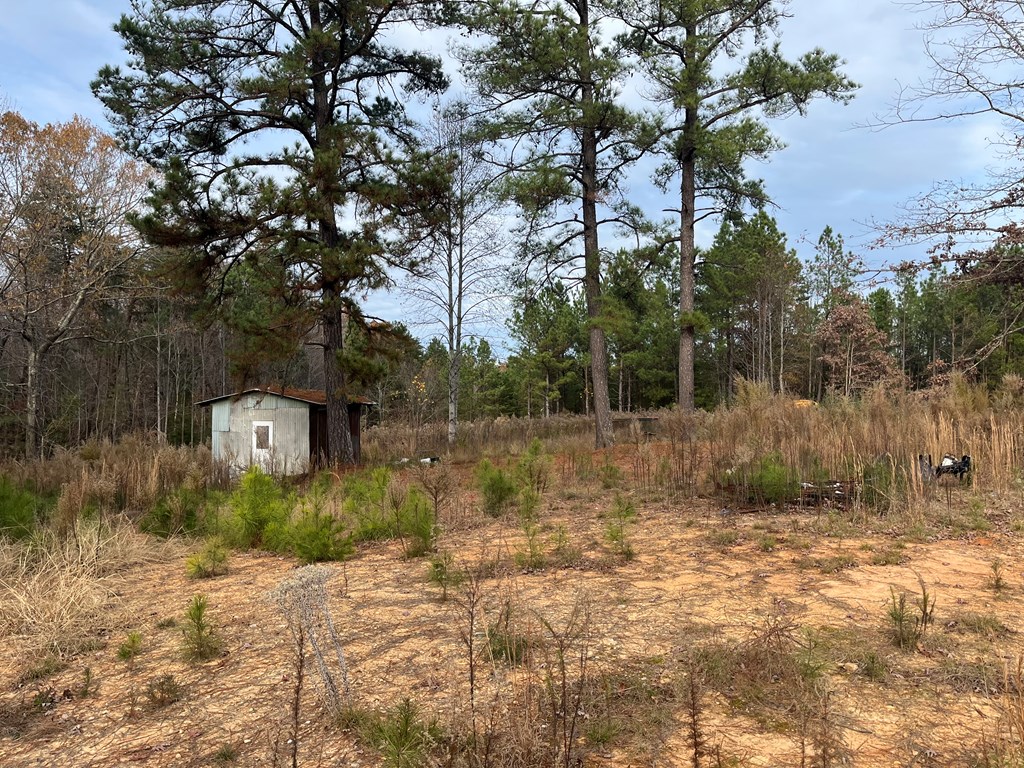 207 Old Forty Seven Road Property Photo 4