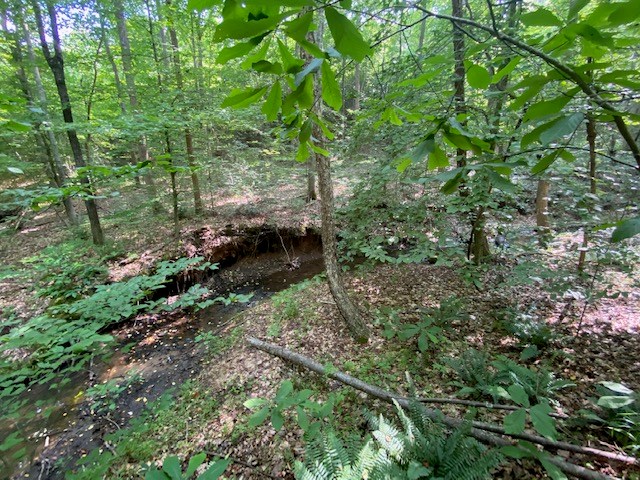 Birch Elmo Road Property Photo 3