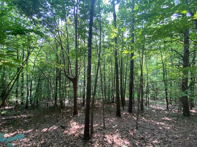 Birch Elmo Road Property Photo 6