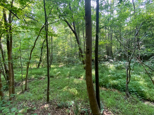 Birch Elmo Road Property Photo 8