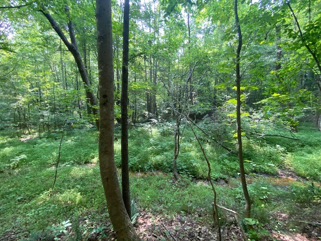Birch Elmo Road Property Photo 9