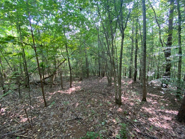 Birch Elmo Road Property Photo 11