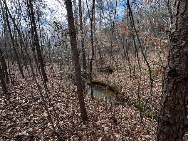 Carter Smith Road Property Photo 2