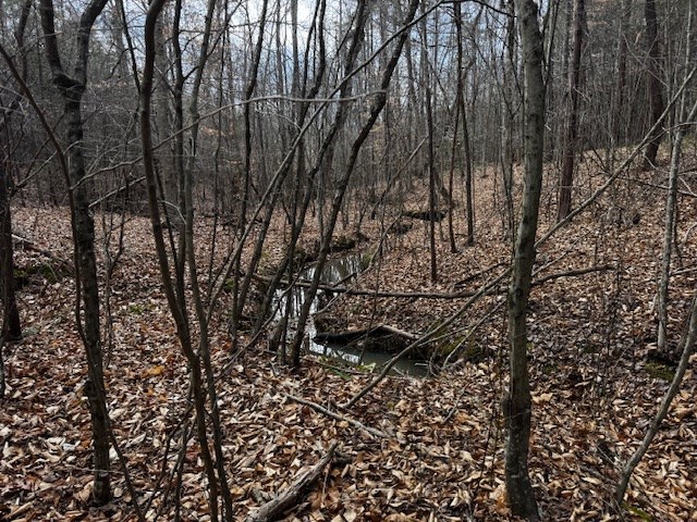 Carter Smith Road Property Photo 3