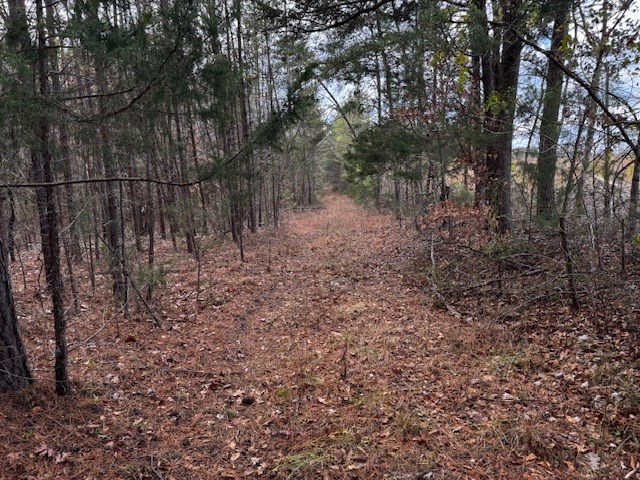 Carter Smith Road Property Photo 4