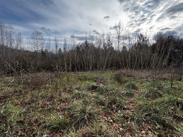 Carter Smith Road Property Photo 5