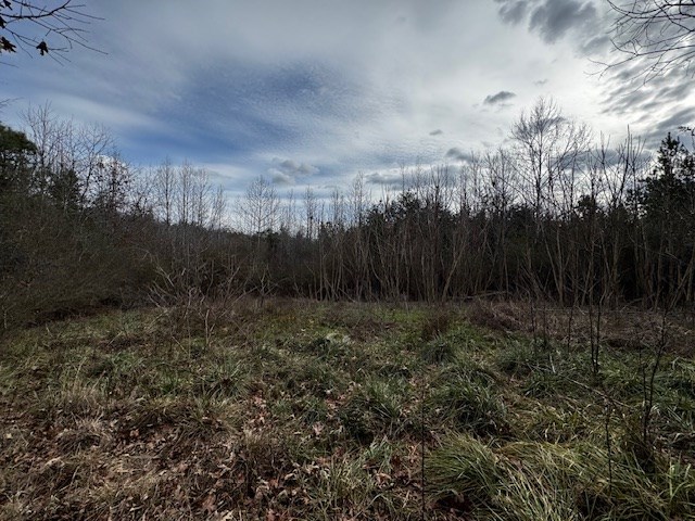 Carter Smith Road Property Photo 6