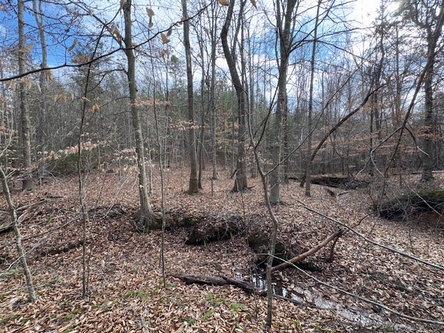 Carter Smith Road Property Photo 11