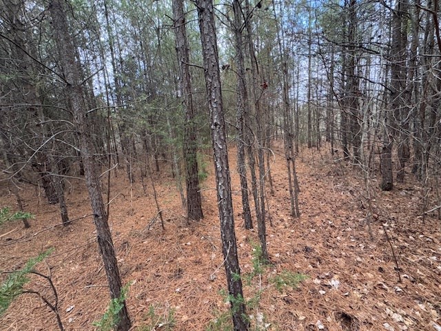 Carter Smith Road Property Photo 13