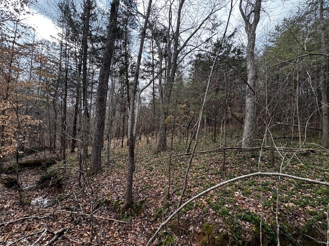 Carter Smith Road Property Photo 14