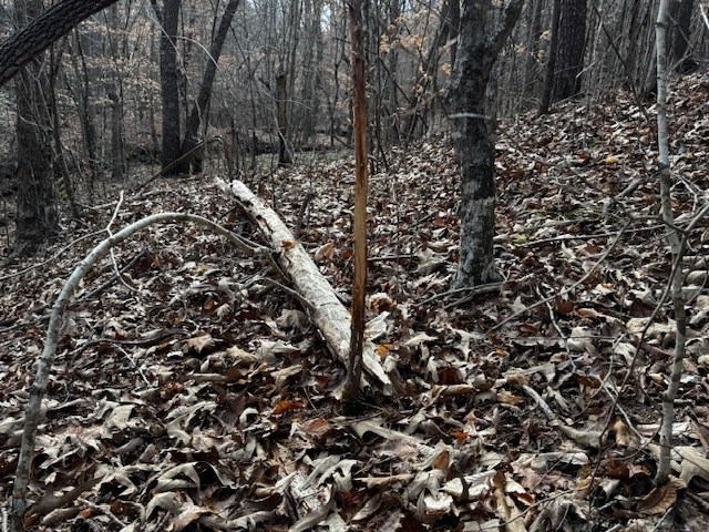 Carter Smith Road Property Photo 18