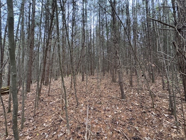 Carter Smith Road Property Photo 20