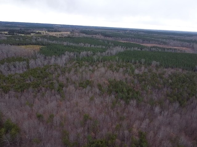 Carter Smith Road Property Photo 22