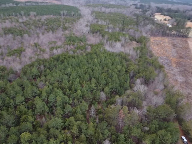 Carter Smith Road Property Photo 23