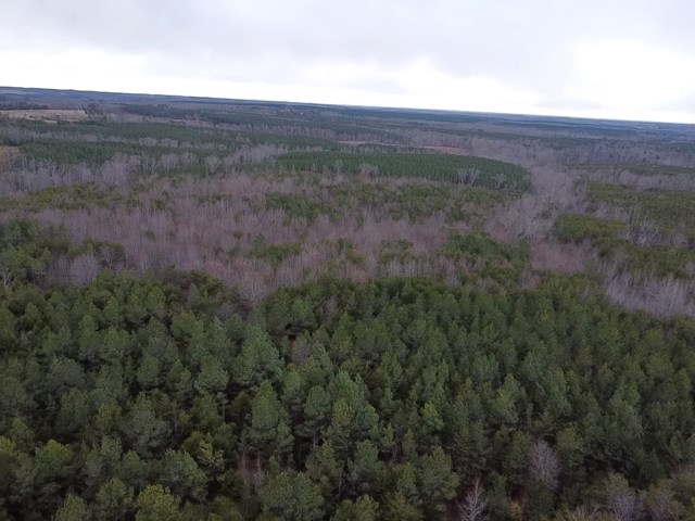 Carter Smith Road Property Photo 24