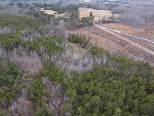 Carter Smith Road Property Photo 25