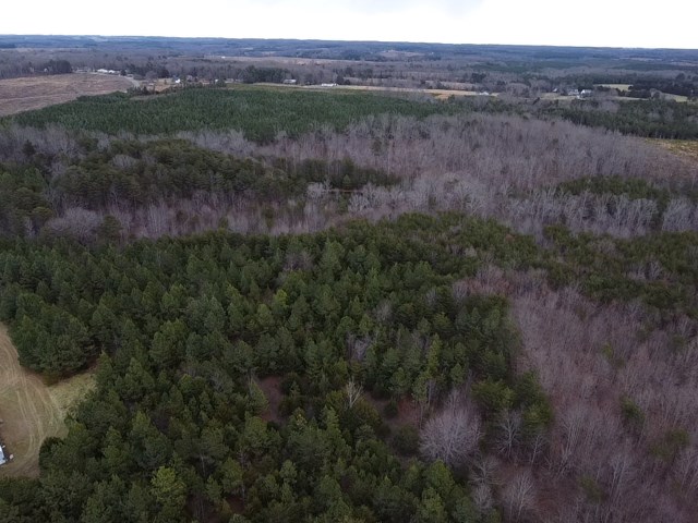 Carter Smith Road Property Photo 27