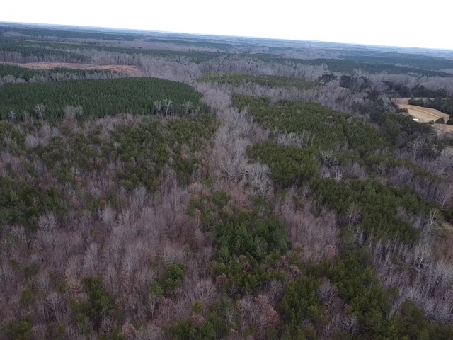 Carter Smith Road Property Photo 28