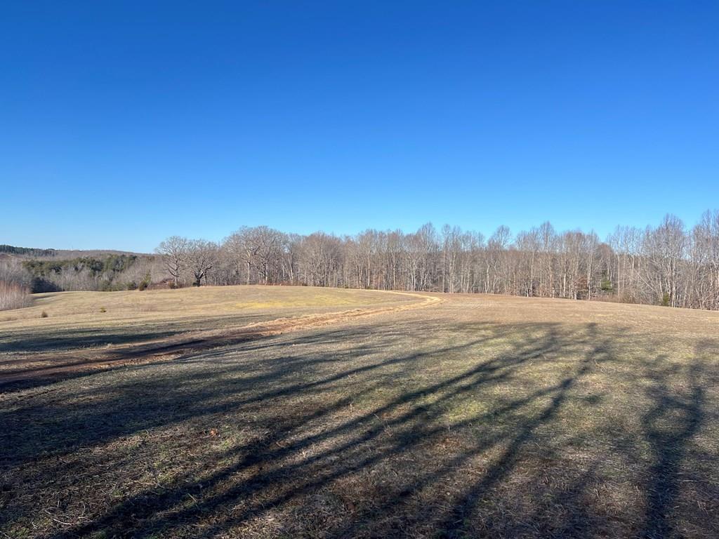 106.9 Ac Bradley Creek Road Property Photo