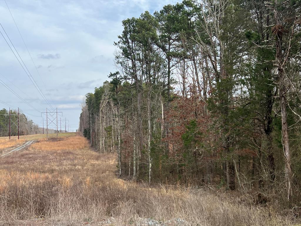 9.02 Ac James D Hagood Highway Property Photo