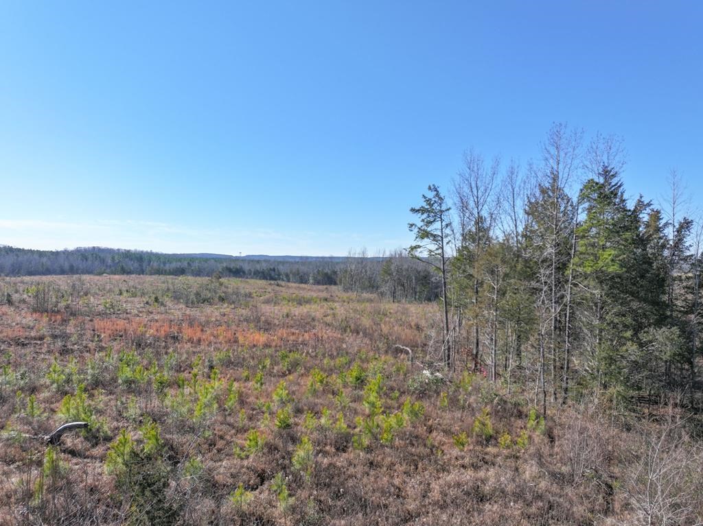 00 Highway 660 Property Photo 14