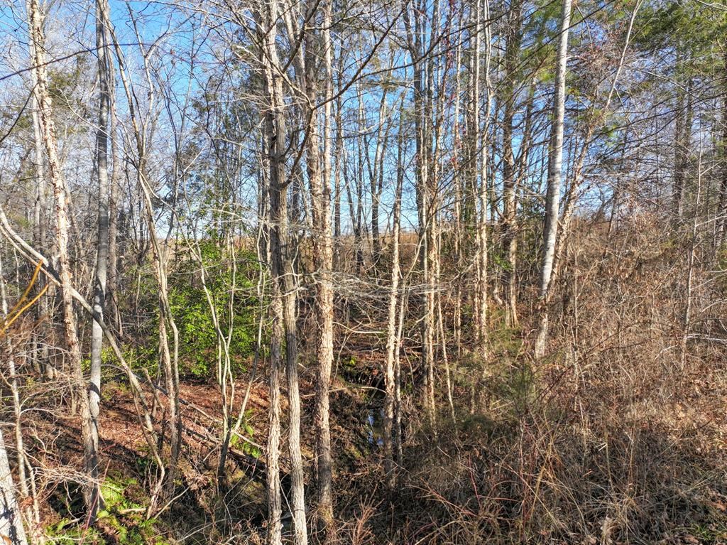 00 Highway 660 Property Photo 19