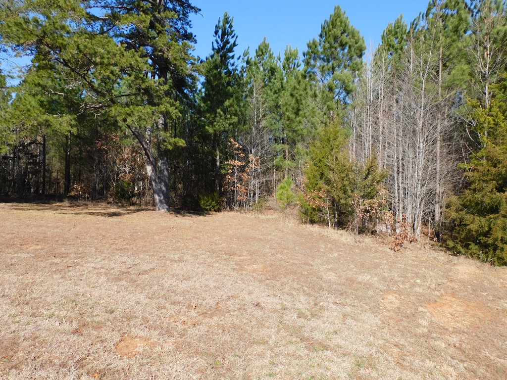 8.93 Guill Town Road Property Photo 9